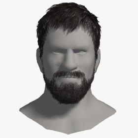 Beard and Hair Man's